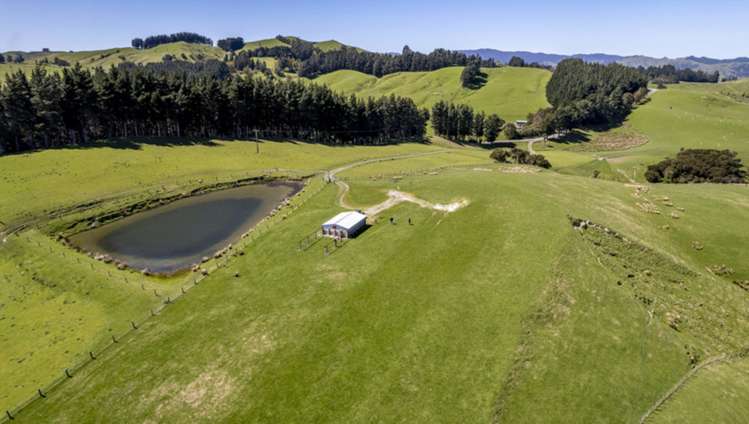 7 Hikawera Road Hinakura_16