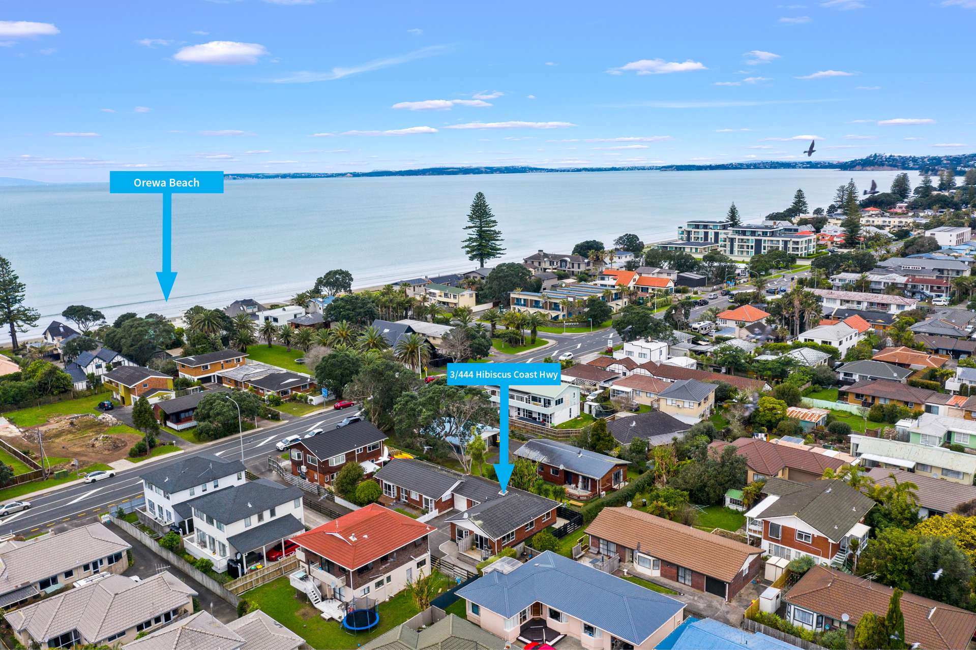 3/444 Hibiscus Coast Highway Orewa_0