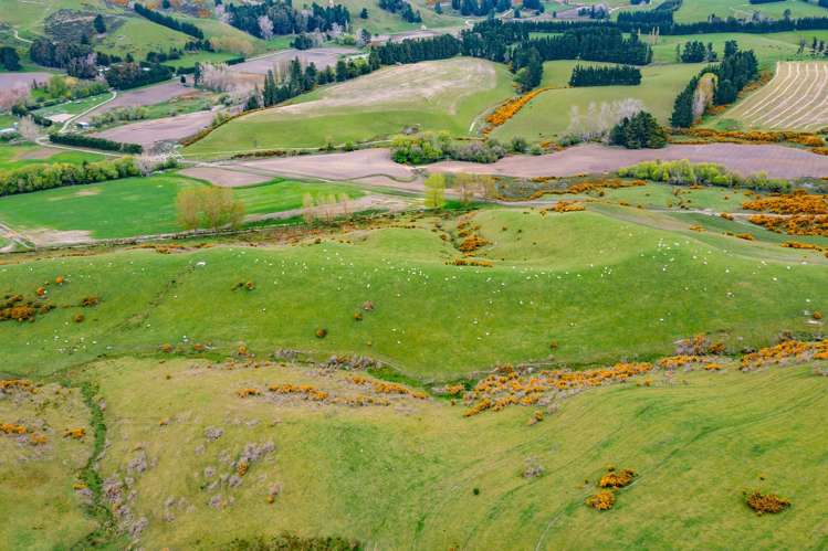 357 Waianiwaniwa Road Sheffield_9