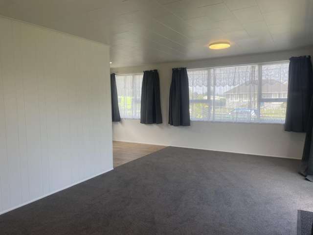 12 London Terrace Putaruru_2