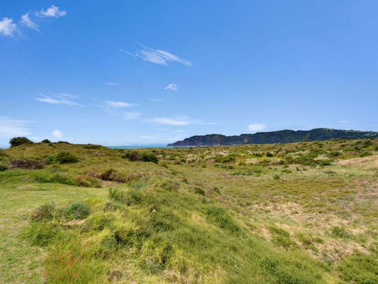 14 Piripai Rise Coastlands_32