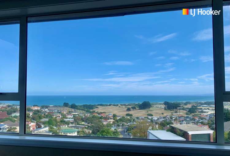 8 Hunt Street Andersons Bay_0