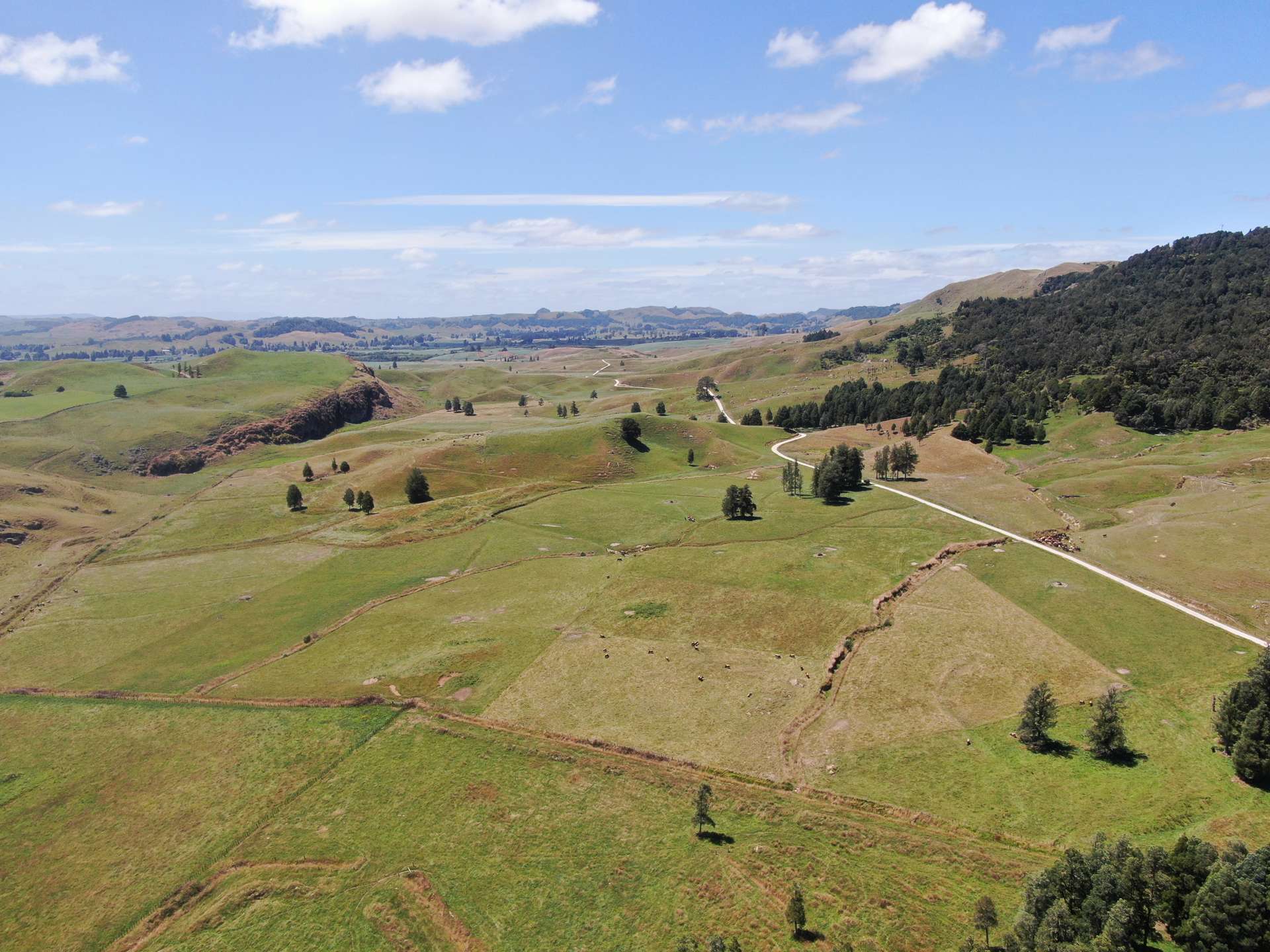 Kahuwera Road Piopio_0