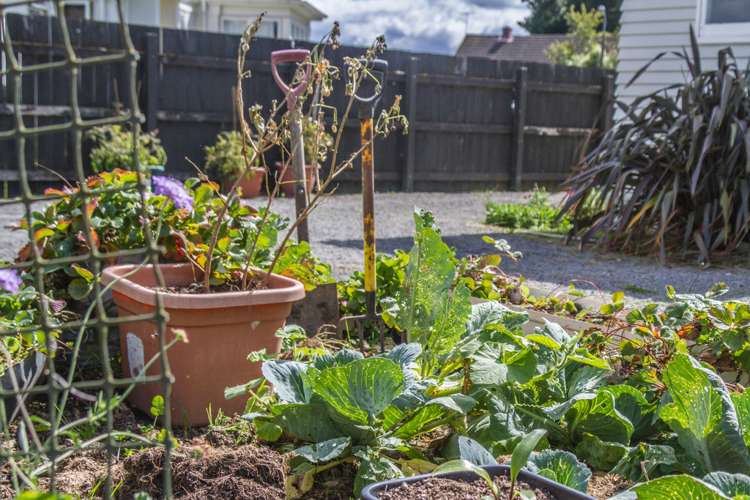 26 Masters Crescent Masterton_22