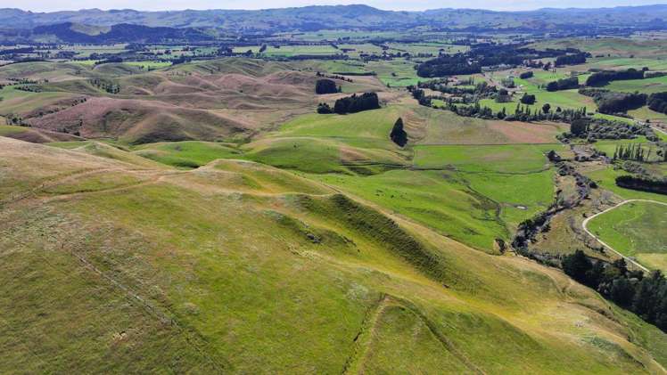 Mikimiki Road Masterton_9