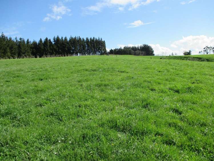 222 Morgan Road Clinton and Surrounds_9