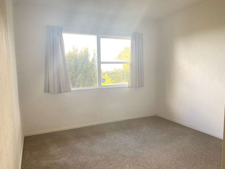 14 Taupo Street Green Bay_5