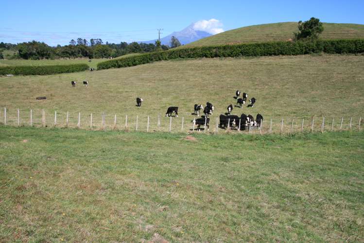 196 Tarata Road Inglewood_17