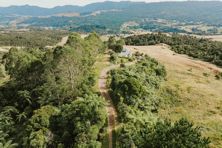 State Highway 12 Waimamaku_17