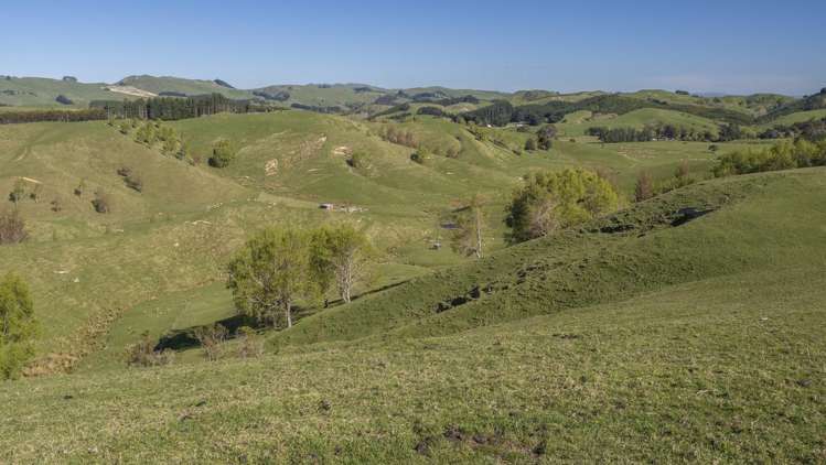 329 North Road Masterton_13