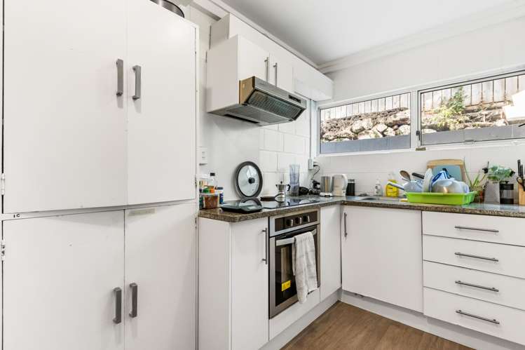 8 Allen Road Grey Lynn_12