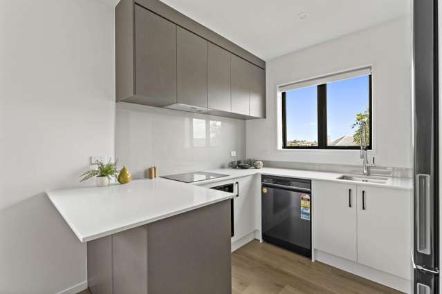 73 Freeland Avenue Mount Roskill_3
