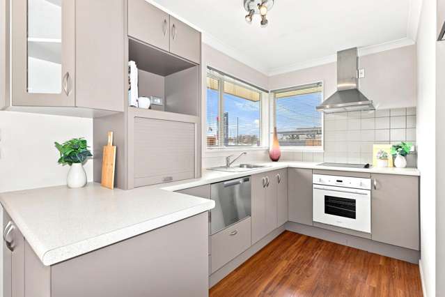 34 Athelstan Street Spreydon_4
