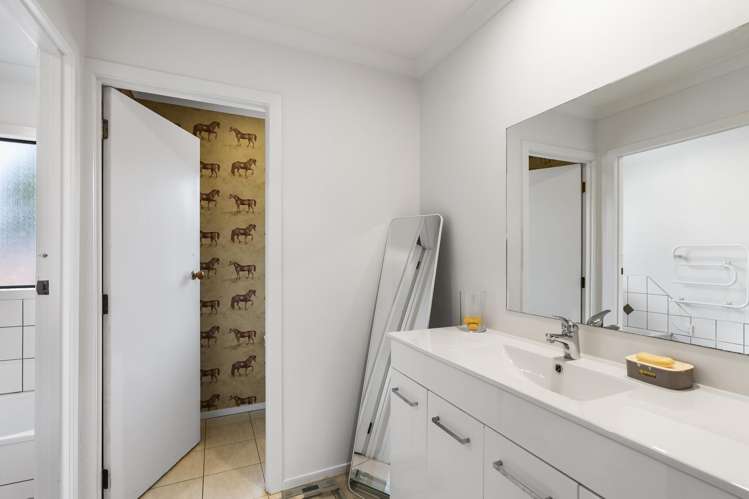 17 Brewster Road Pukekawa_17