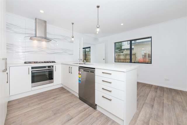 36 Subritzky Avenue Mount Roskill_2