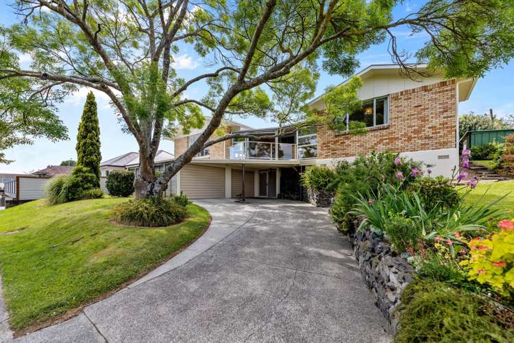 388 Thames Street Morrinsville_6