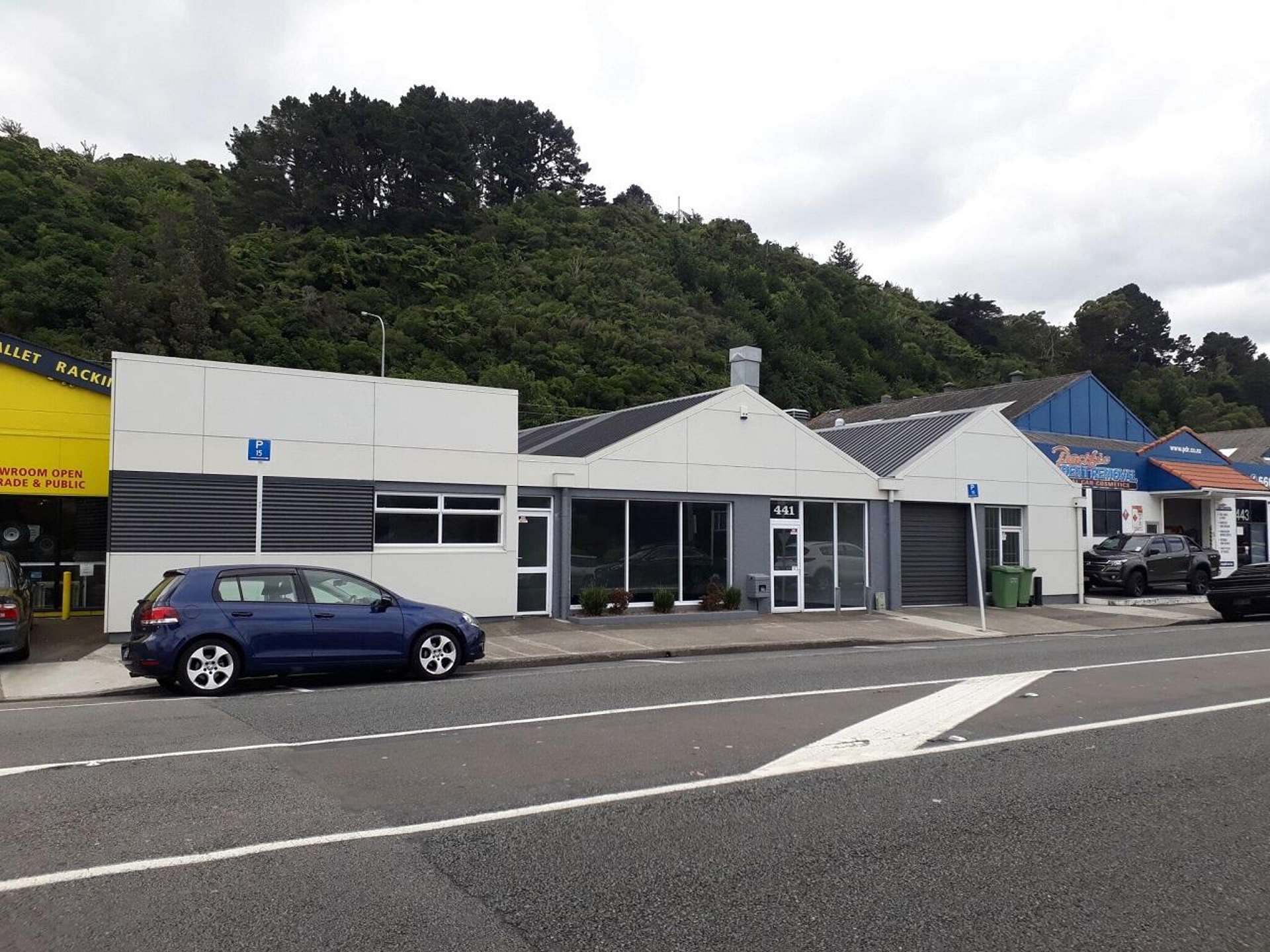 441 Hutt Road Petone_0