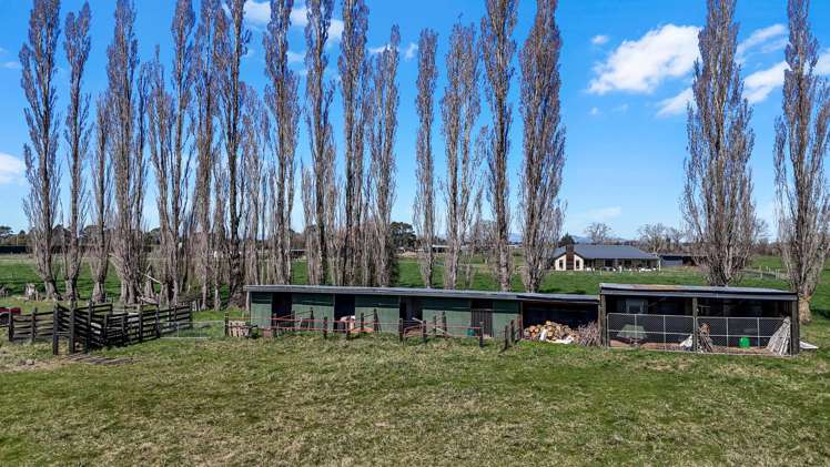 275 Plaskett Road Fernside_19