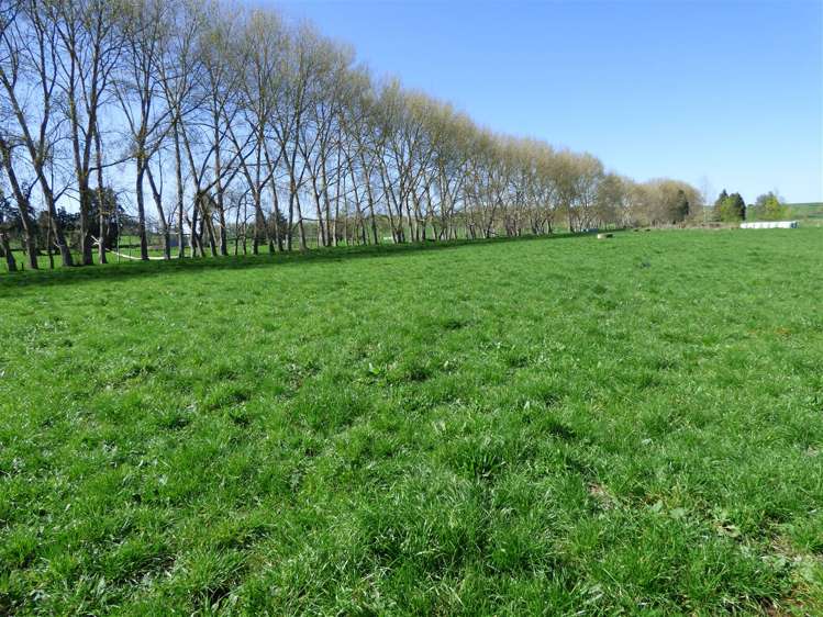 336 Grove Road Te Pahu_10