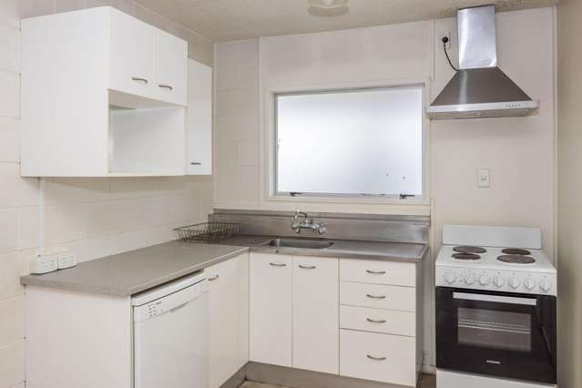 197 Ulster Street Whitiora_4