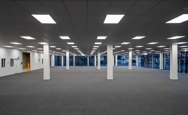 93 Dominion Road Mt Eden_2