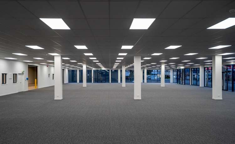 93 Dominion Road Mt Eden_2