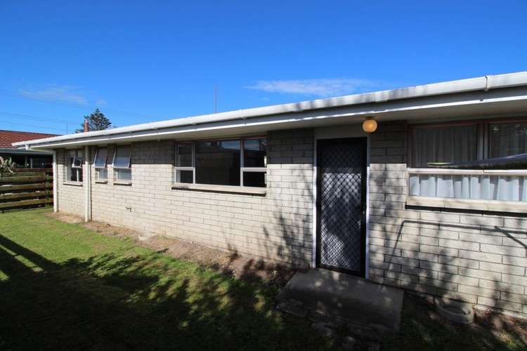 136e High Street Bulls_1