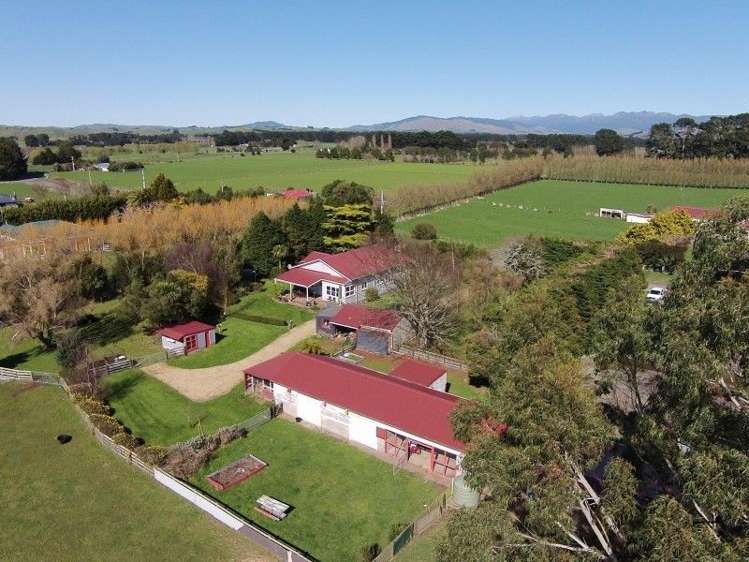 593 Pukehoi Road Eketahuna_15