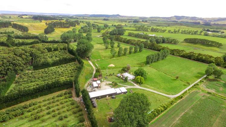 44 Te Ngaio Point Road Tapora_7