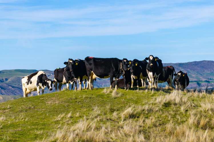 60 Merrifields Road Blind River_15