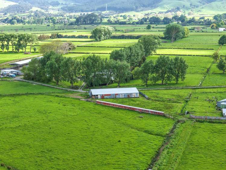 264 Matatoki Road Matatoki_28