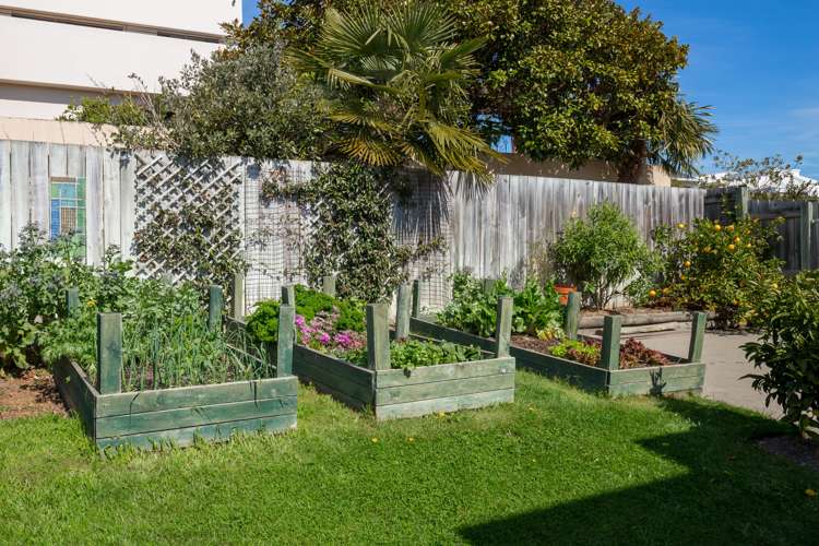 31 Elisha Drive Witherlea_8