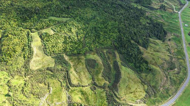 40Ha Block State Highway 67 Mokihinui_25