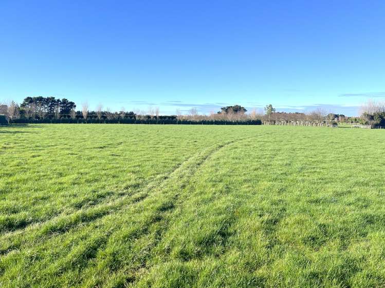 432a Lorne Dacre Road Roslyn Bush_35