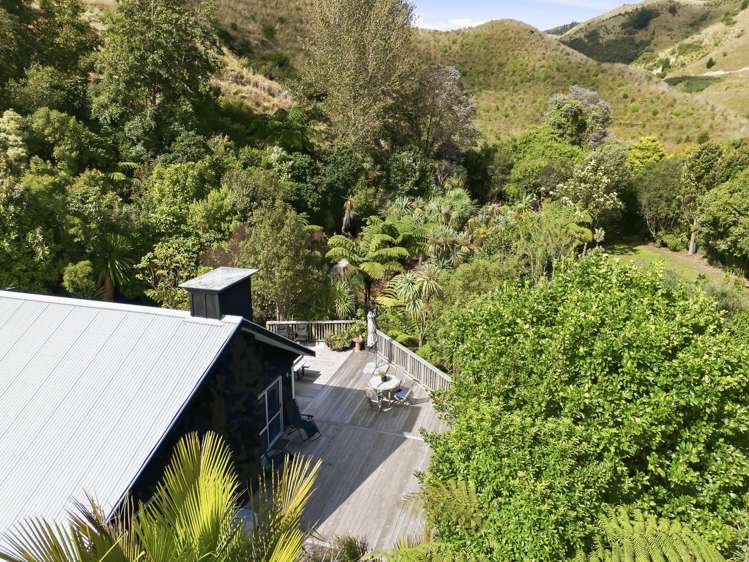 132 Maui Pomare Road Nikau Valley_7