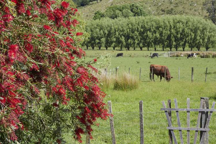 869 Woodcocks Road Kaipara Flats_9