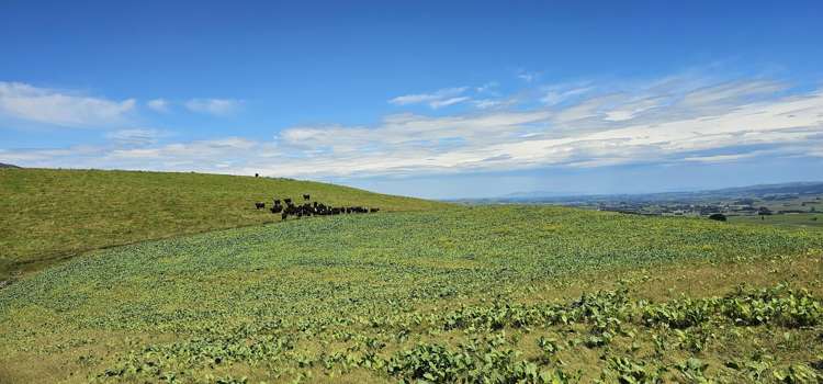 2230 Tapanui Raes Junction Highway Clutha_12