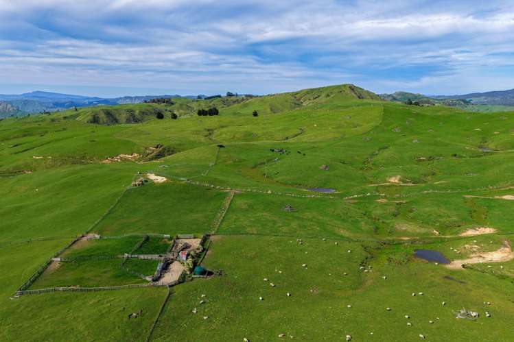 439 Rakauroa Road Matawai_10