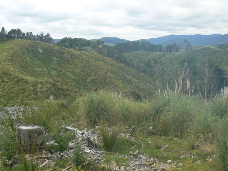 Mangatoetoe Road Kaitaia_8