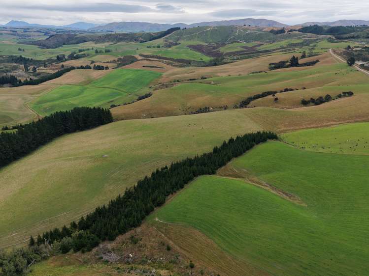 158 Kowhatu Road Waimate_5