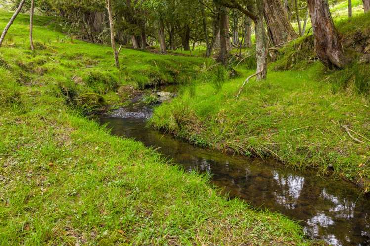 1070 Tangihua Road Maungakaramea_28