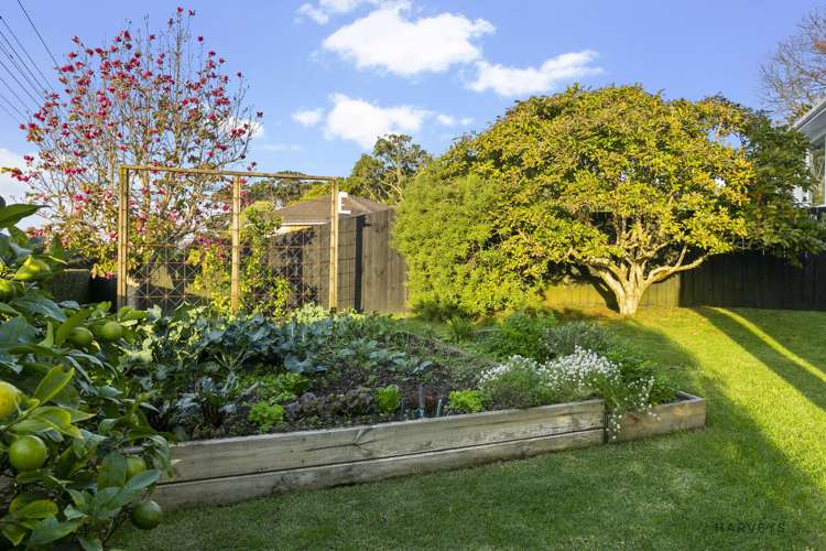 2c Highland Avenue Titirangi_17