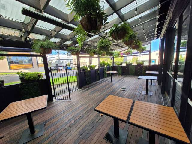 29 Crummer Road Ponsonby_2