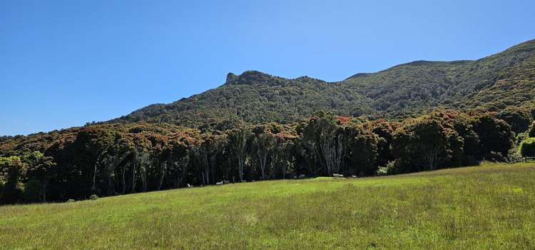 623 Slopedown Road Catlins Surrounds_22