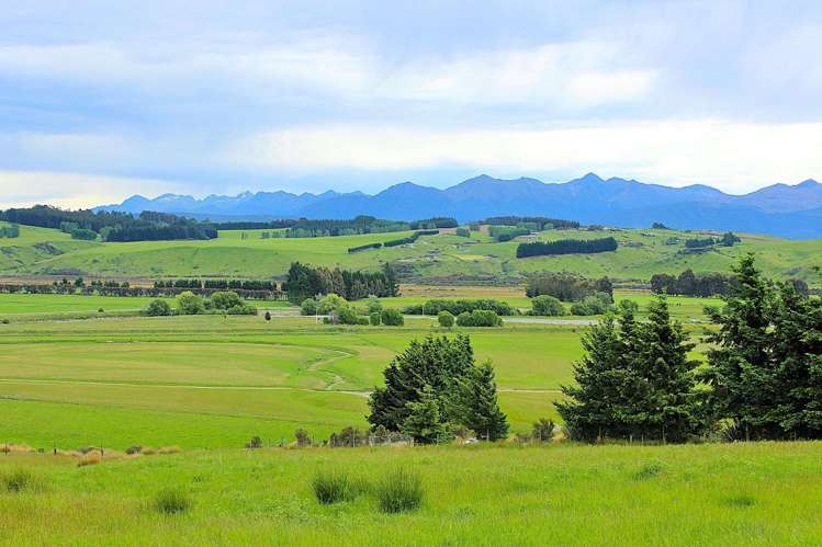 105 Lynwood Road Hillside_2