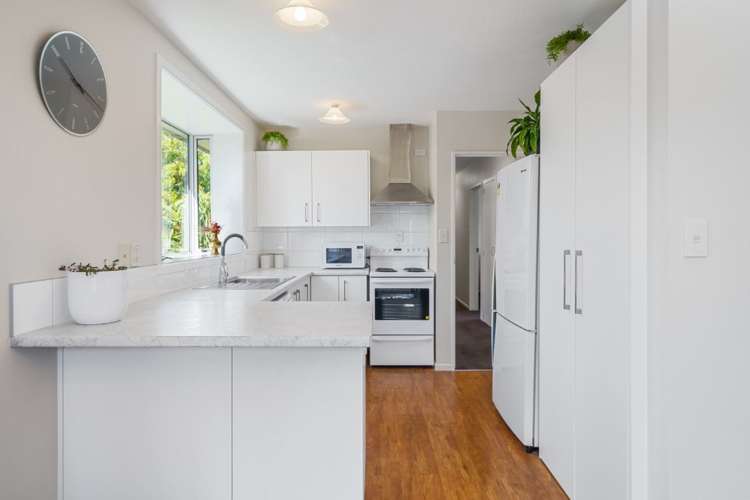 11b Strickland Street Sydenham_10