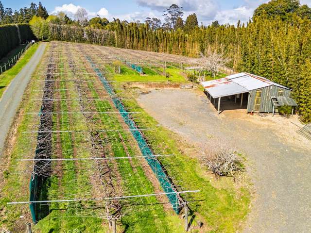 43e Blue Gum Lane Kerikeri_3