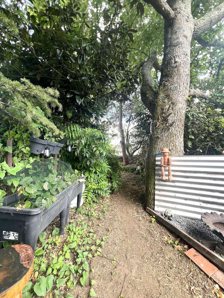 52 Te Kumi Road Te Kuiti_15