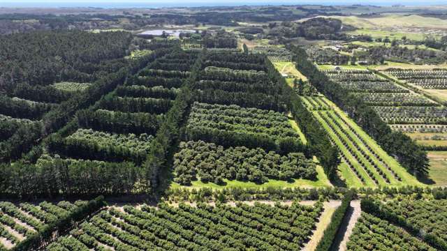 373 Kimberley Road Ngataki_1