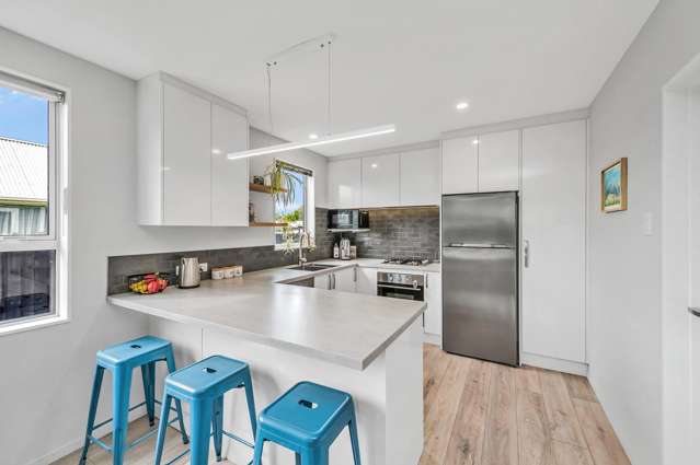 48 Briggs Road Mairehau_4